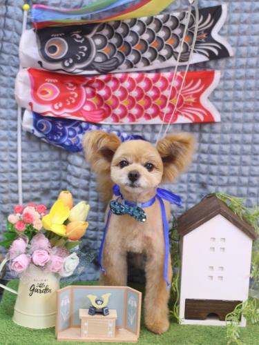 20230516クッキーくん